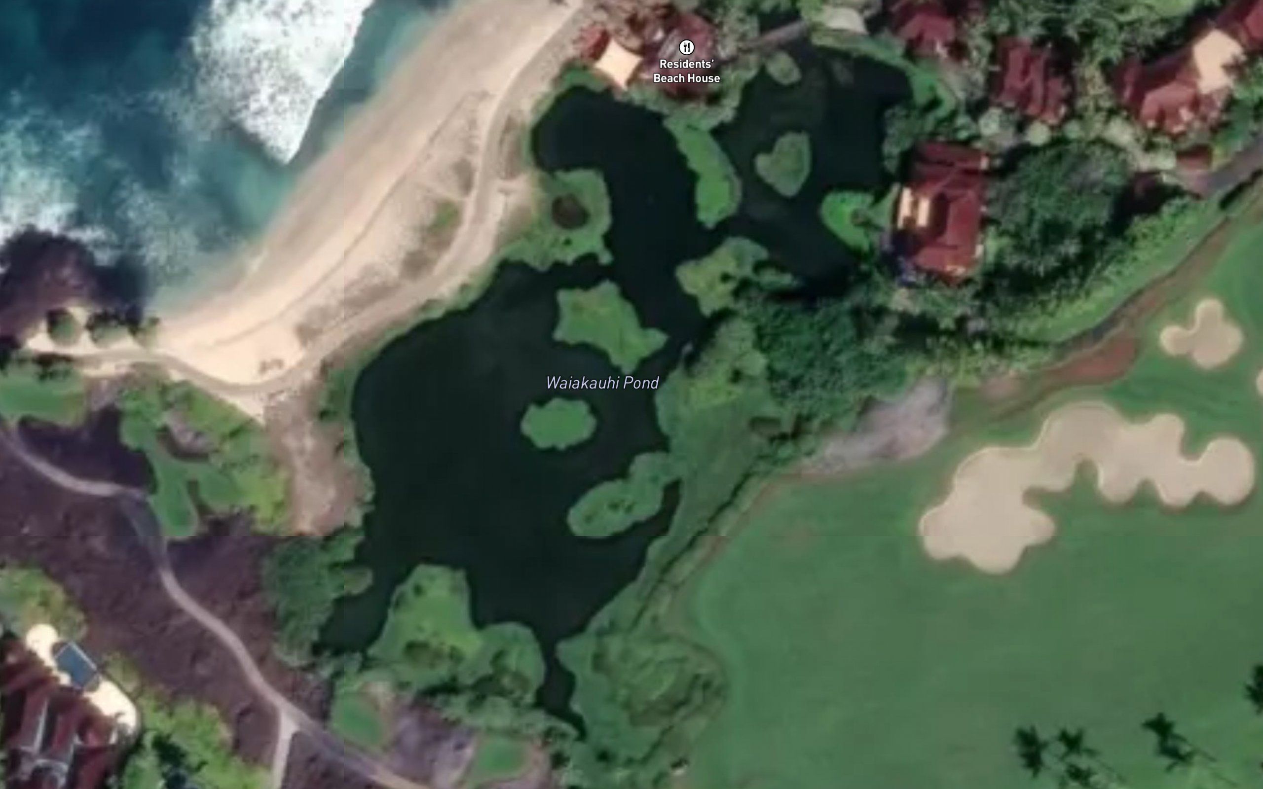 Waiakuhi