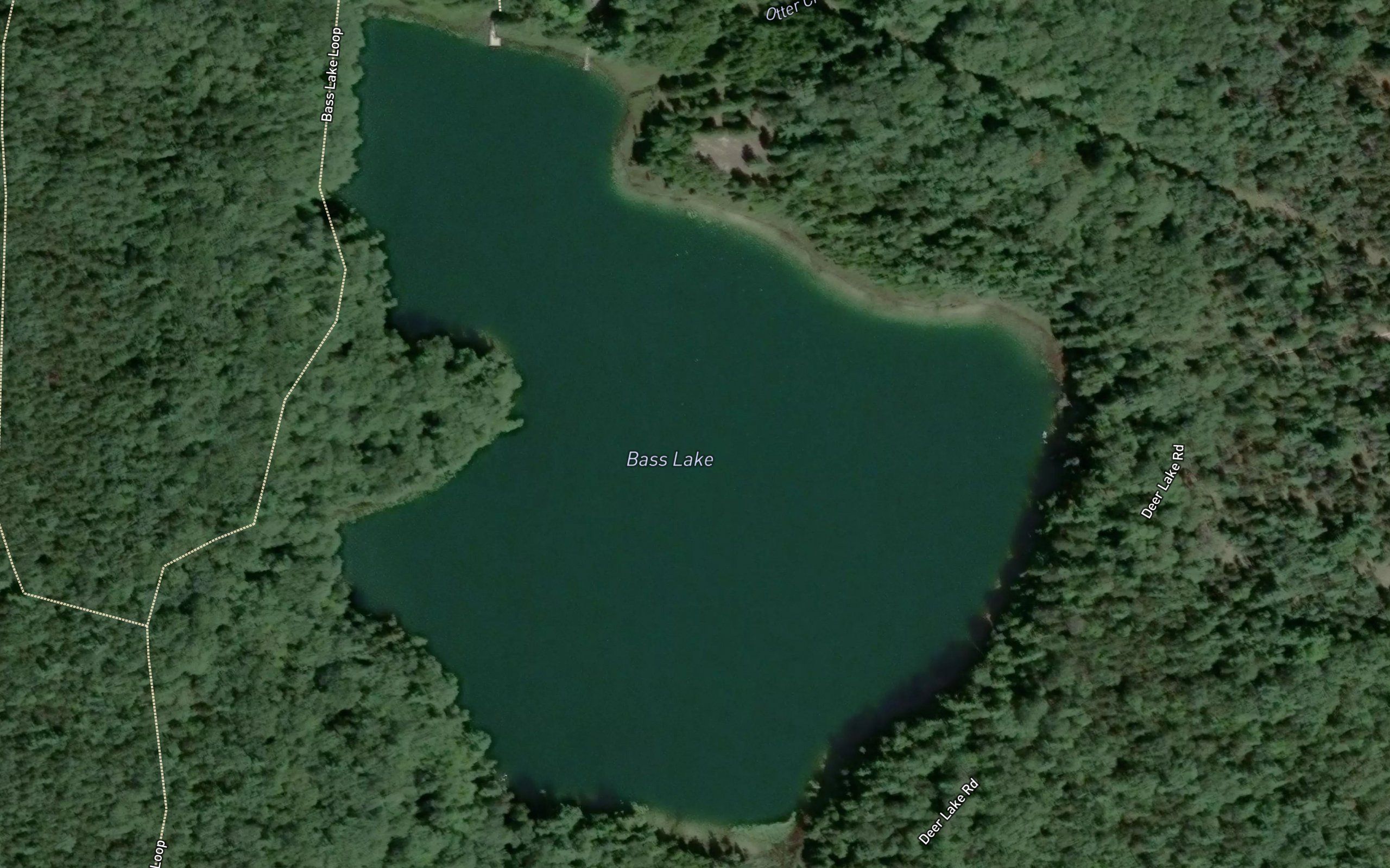 Bass Lake
