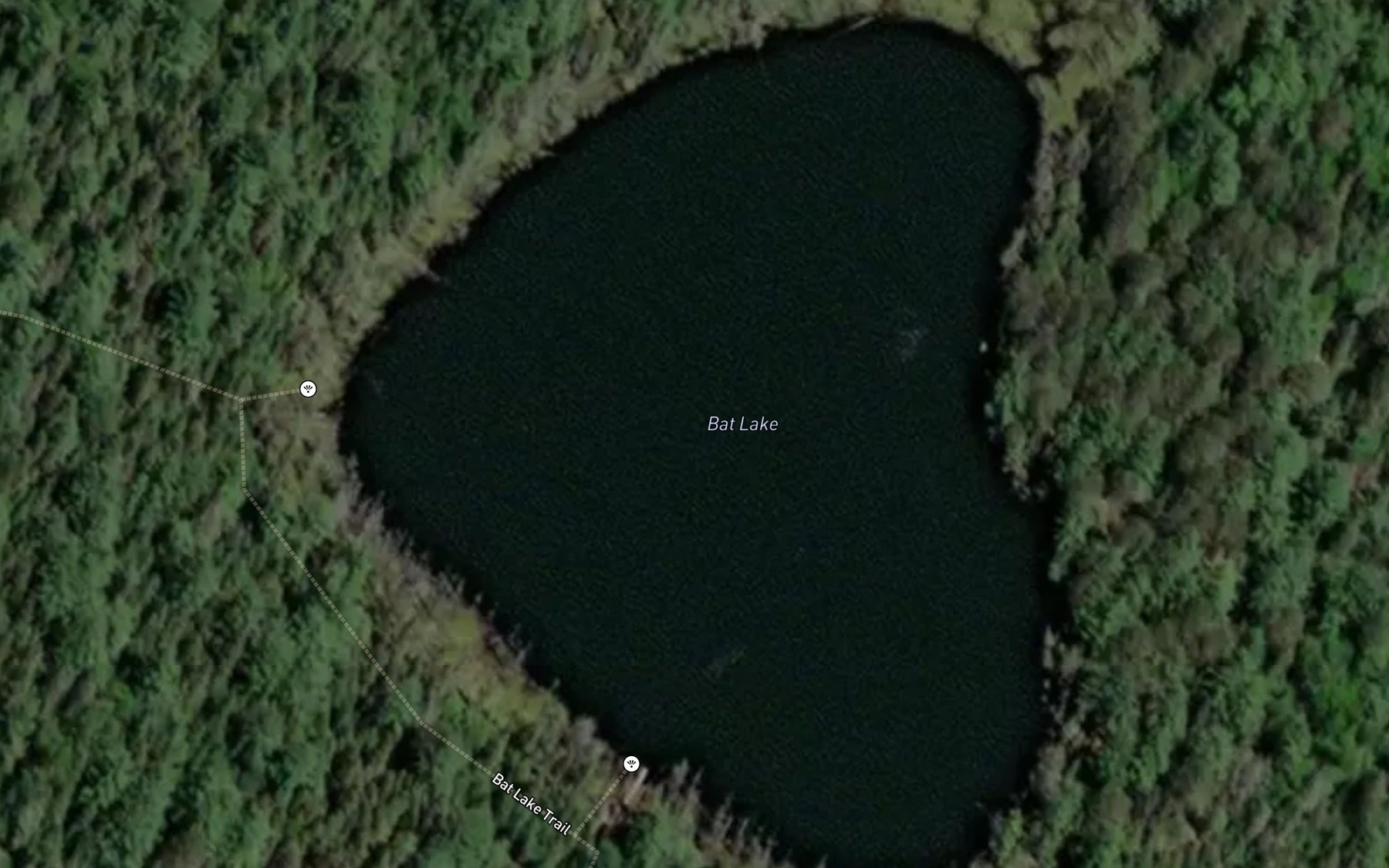 Satellite map of the Bat Lake