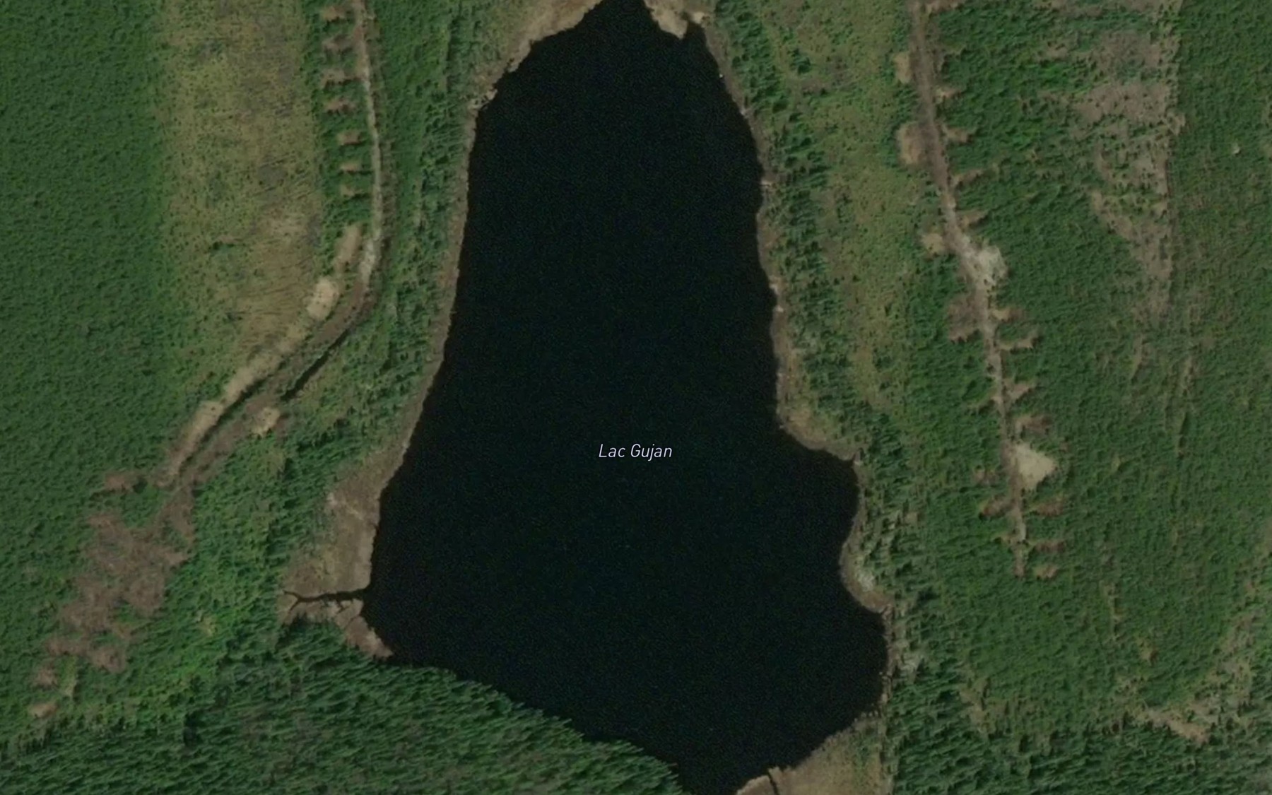 Satellite map of the Lac Gujan