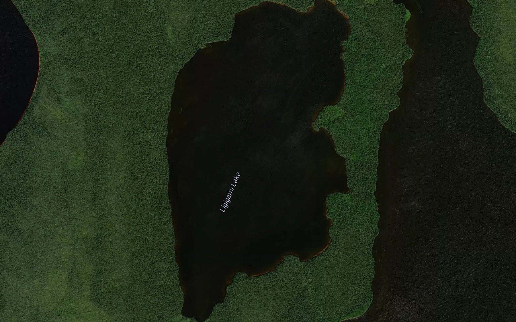 Satellite map of the Ligigami Lake