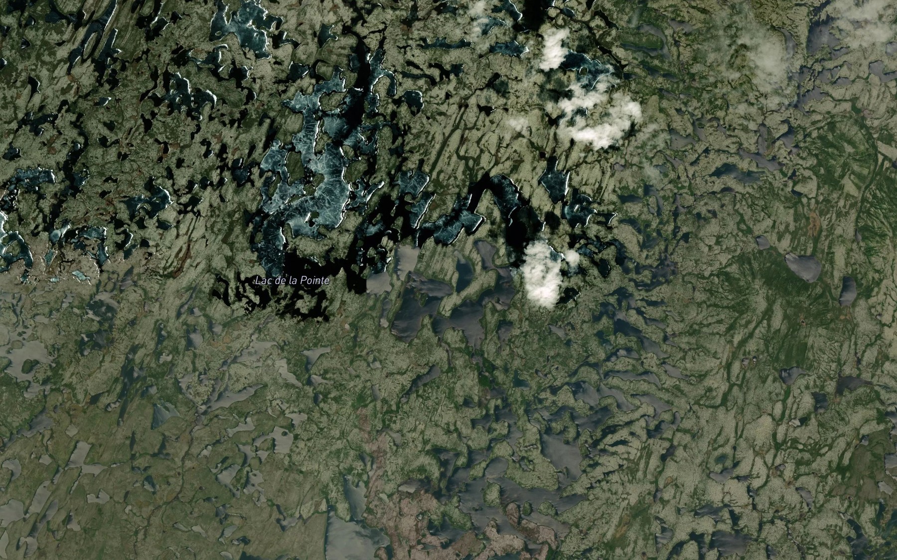 Satellite map of the Lac de la Pointe