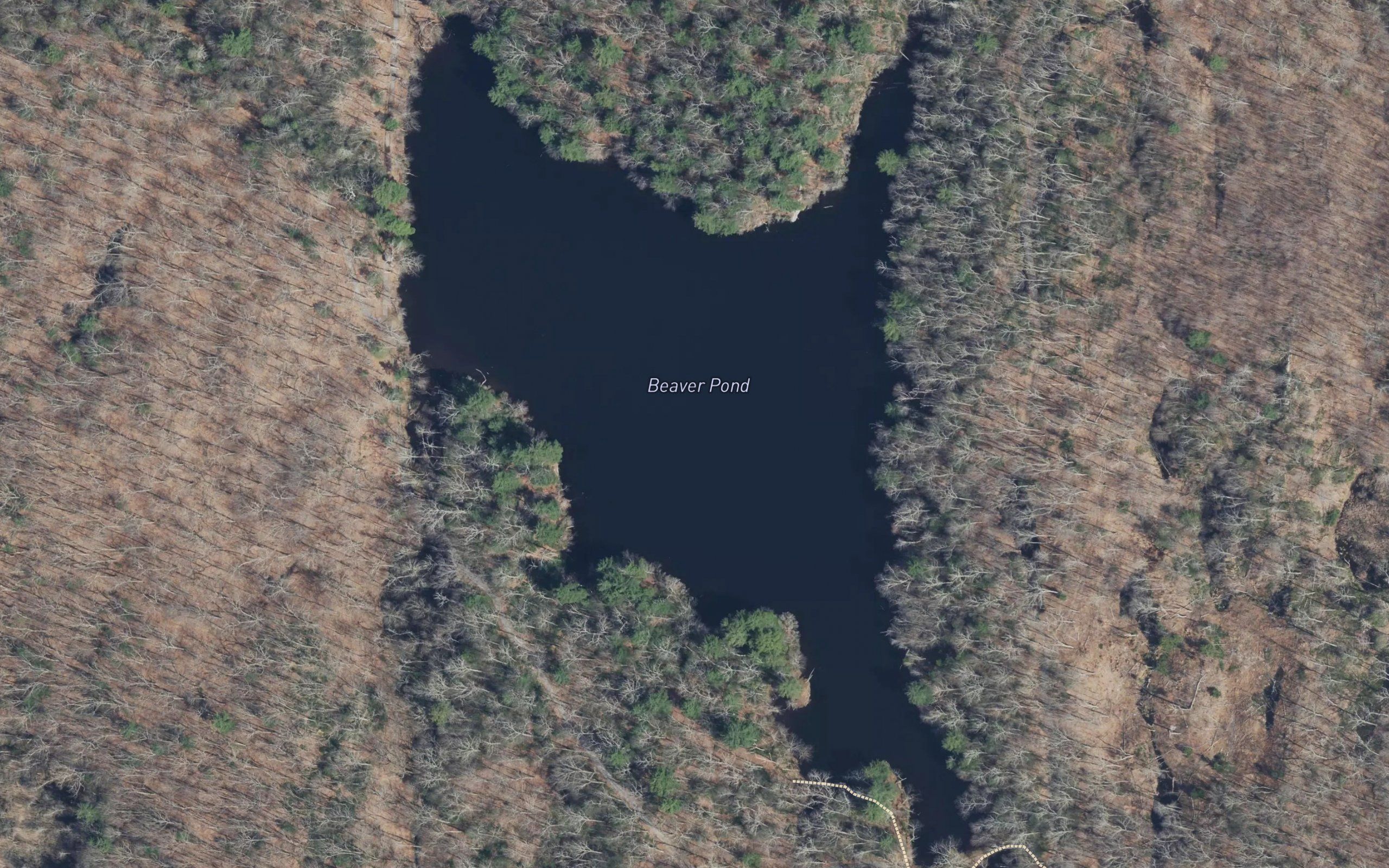 Beaver Pond
