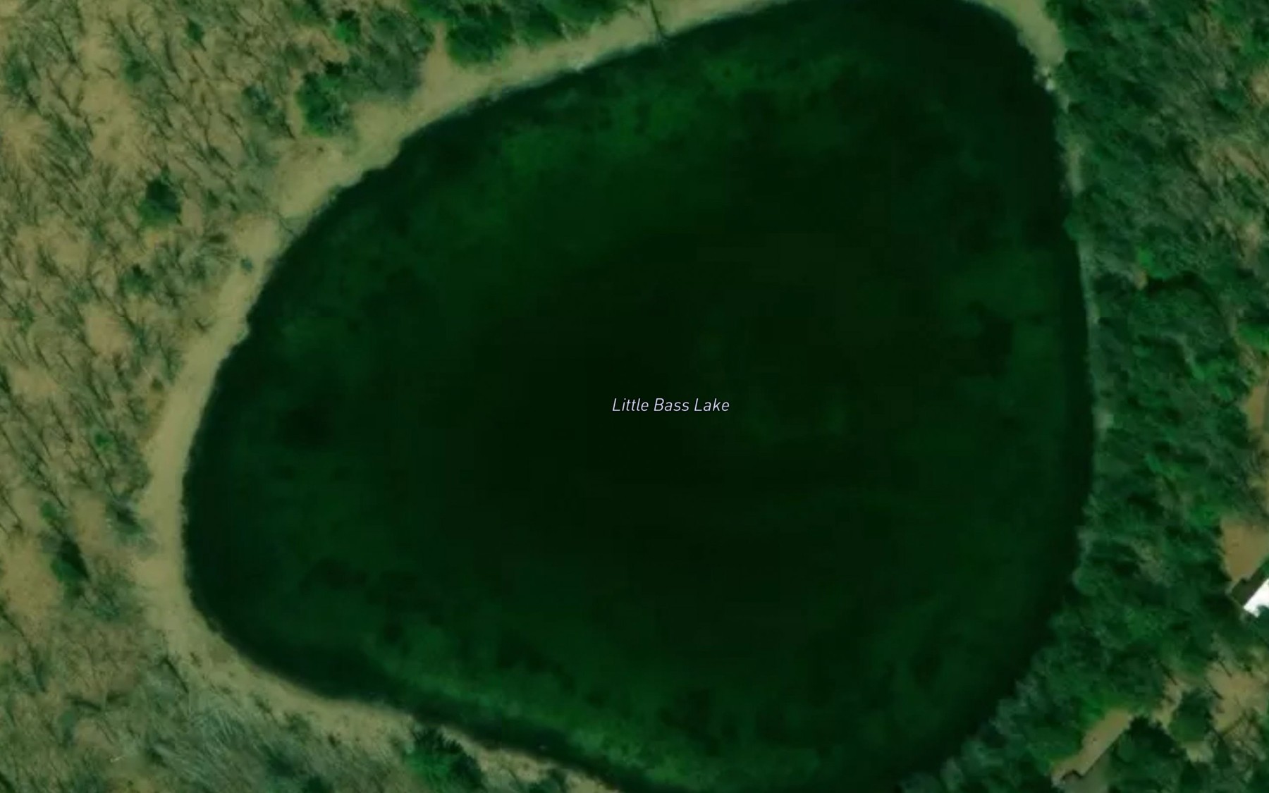 Satellite map of the Little Bass Lake