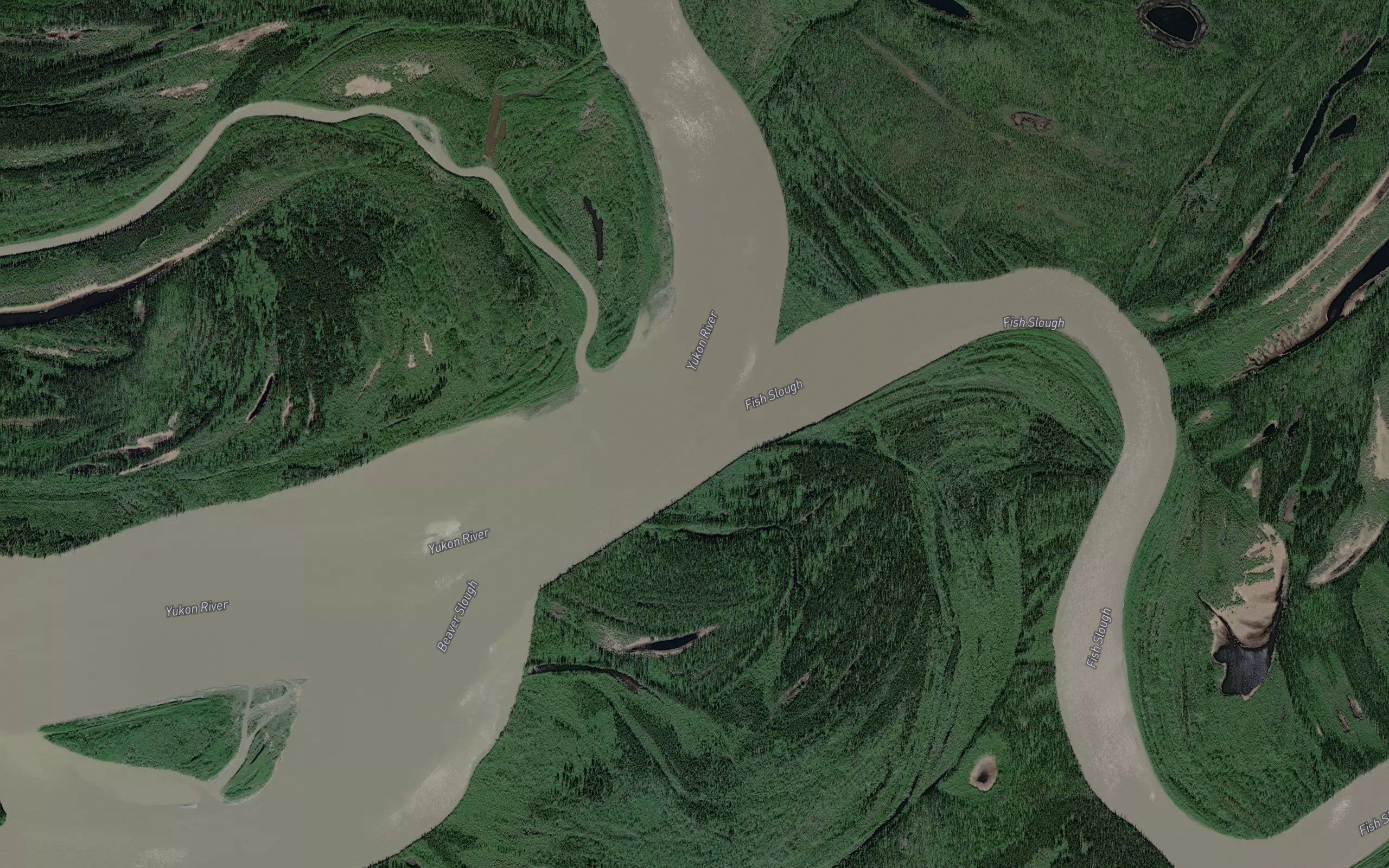 Fish Slough