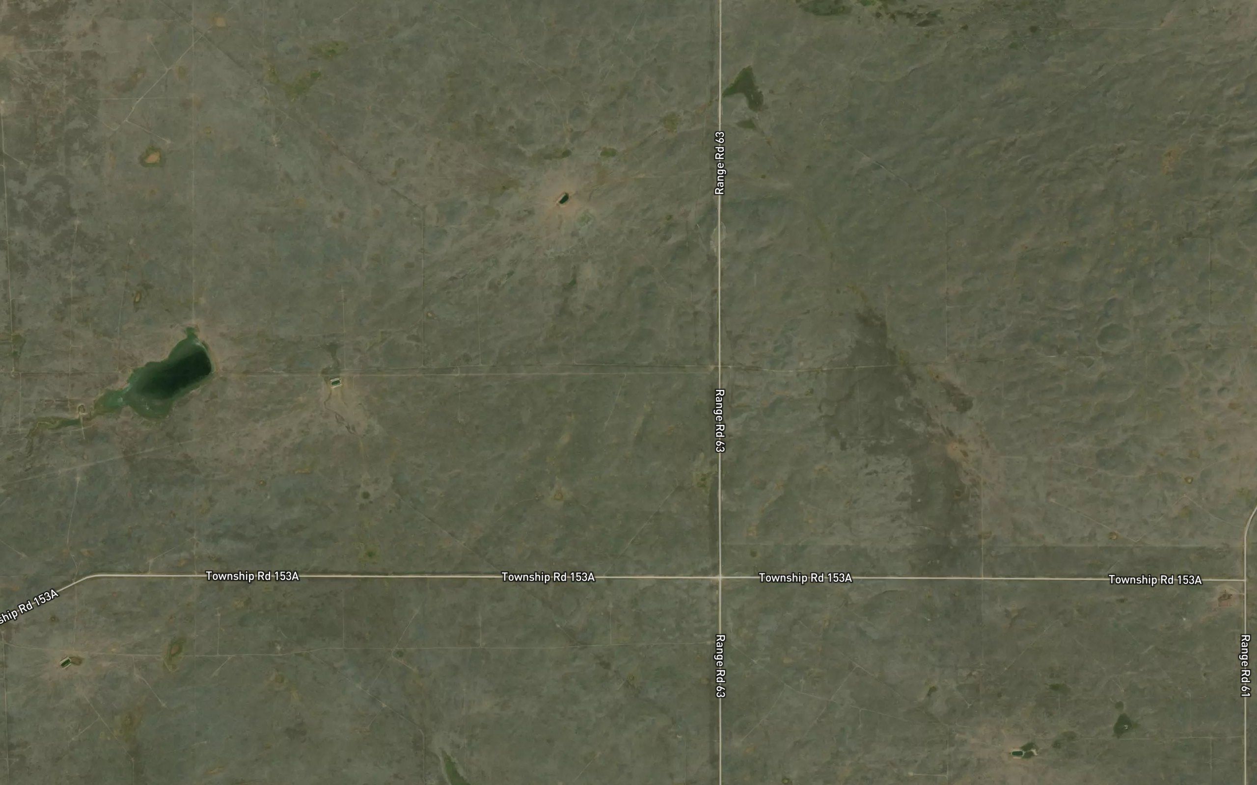 Frog Ponds