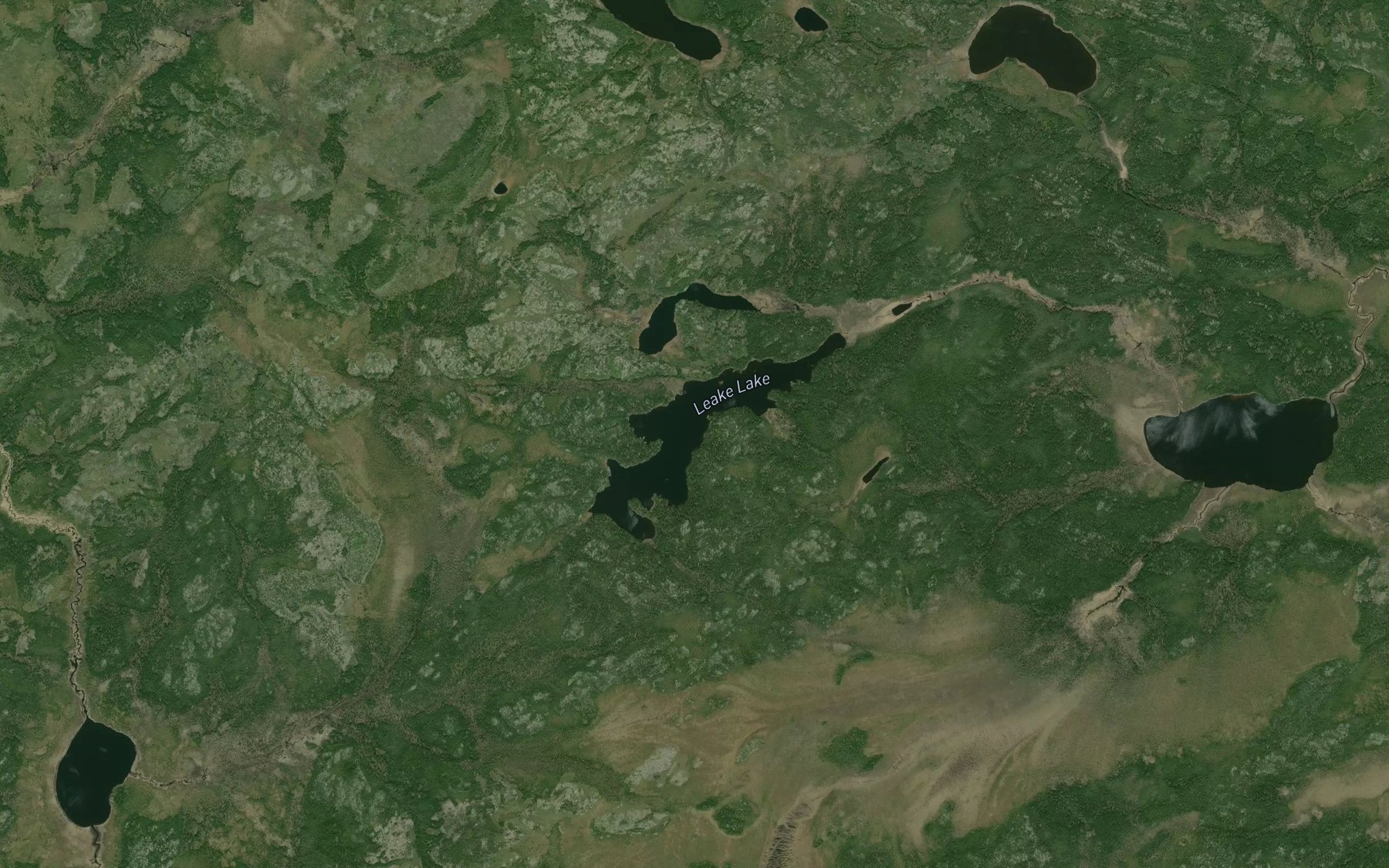 Satellite map of the Leake Lake