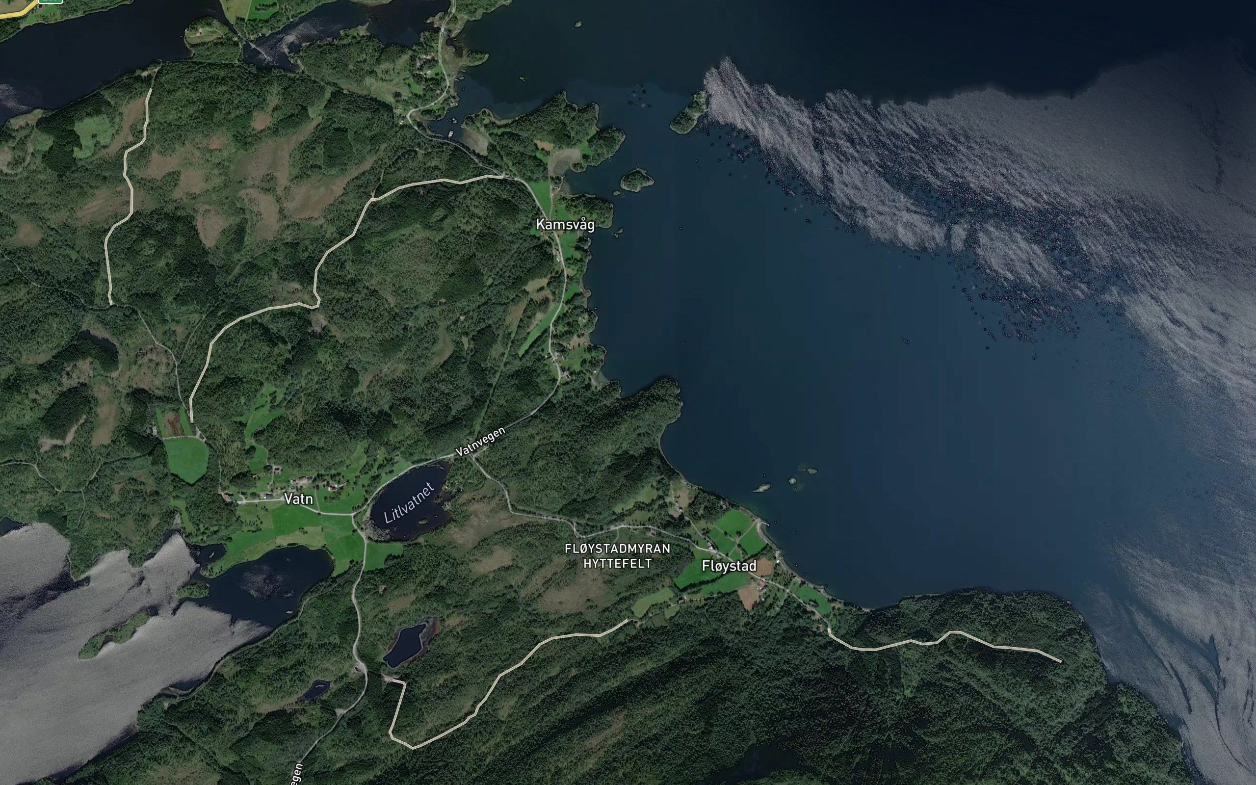 Muntvika
