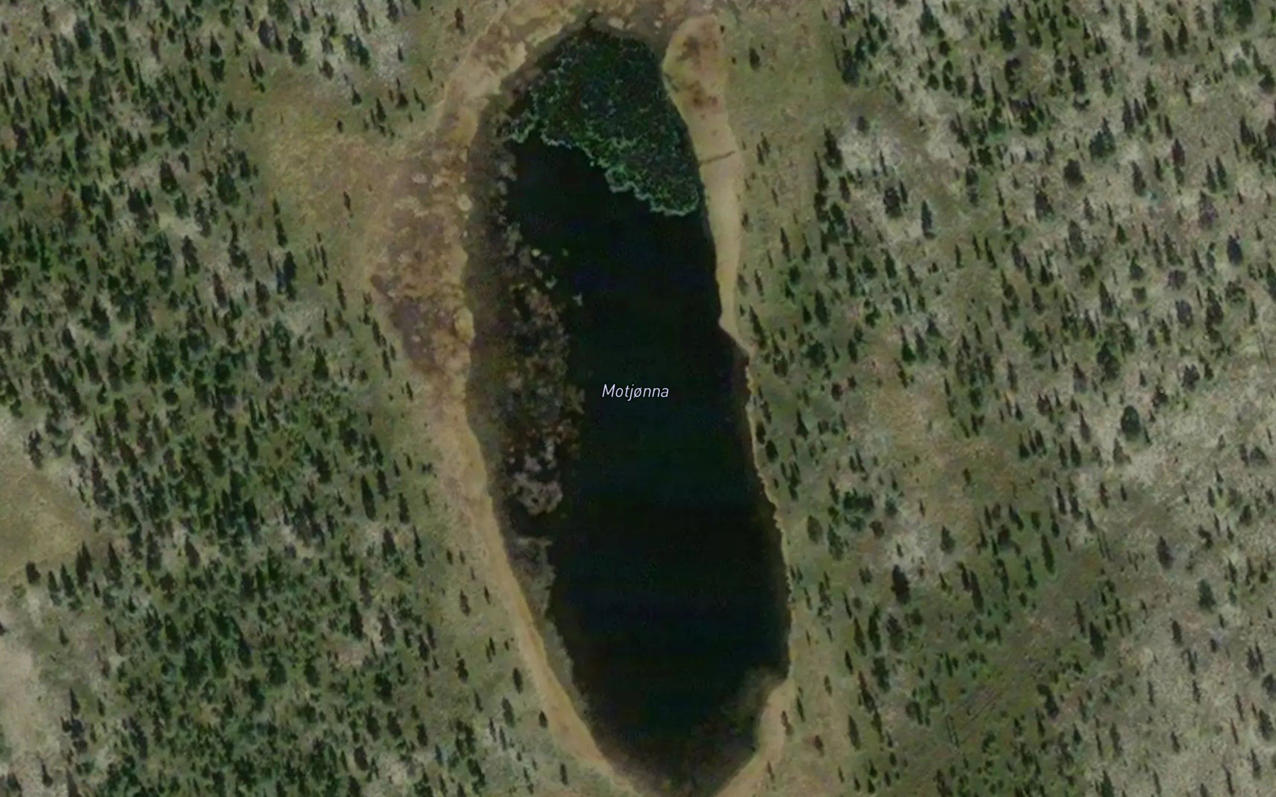 Motjorna