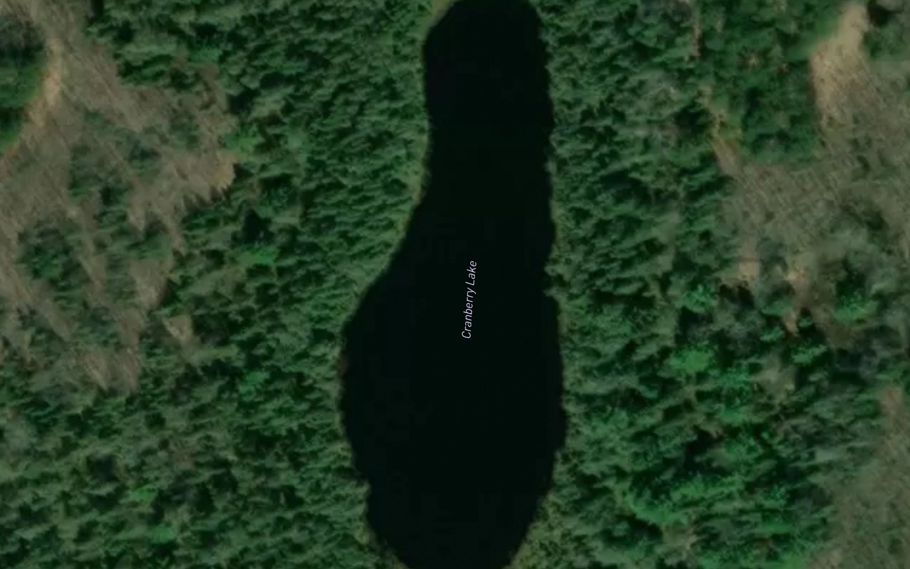 Satellite map of the Cranberry Lake