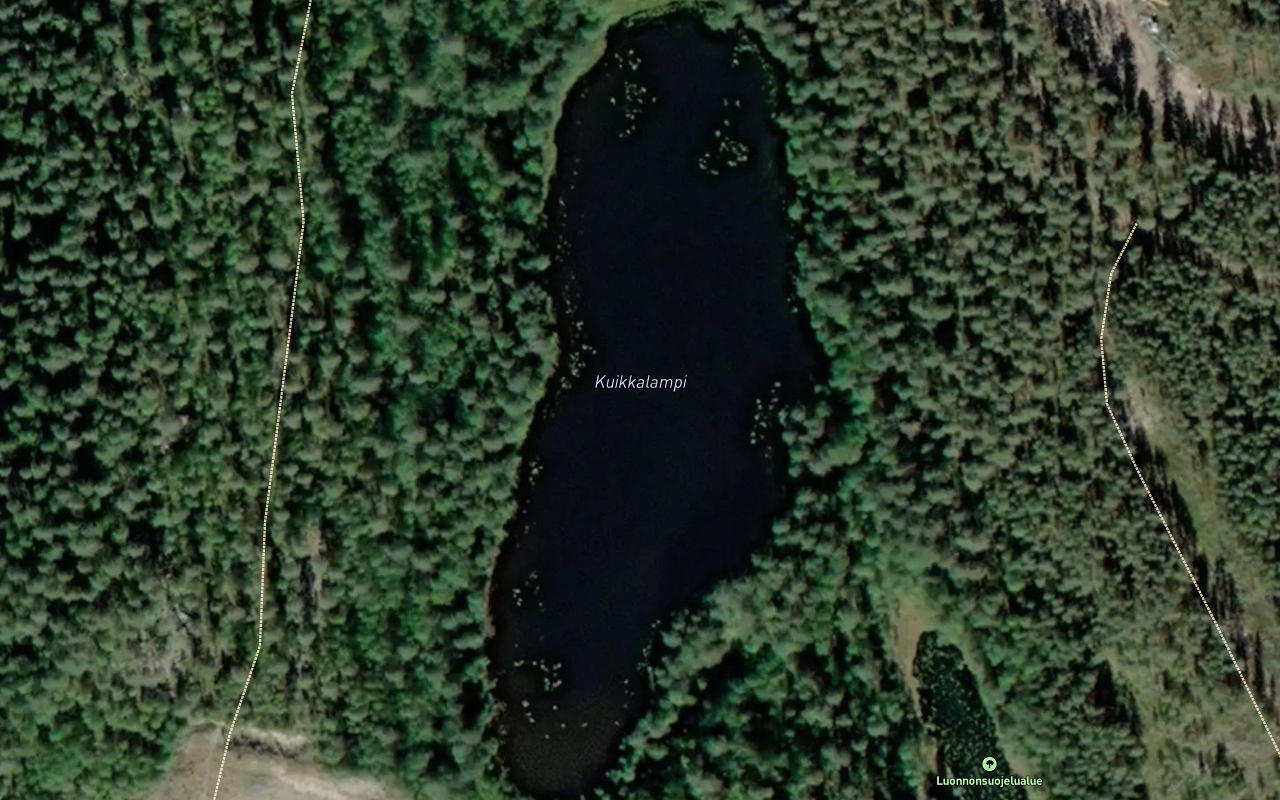 Kuikkalammit