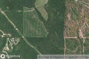 Hogget Creek