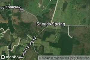 Sneads Spring