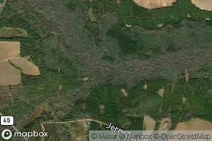 Reedy Creek