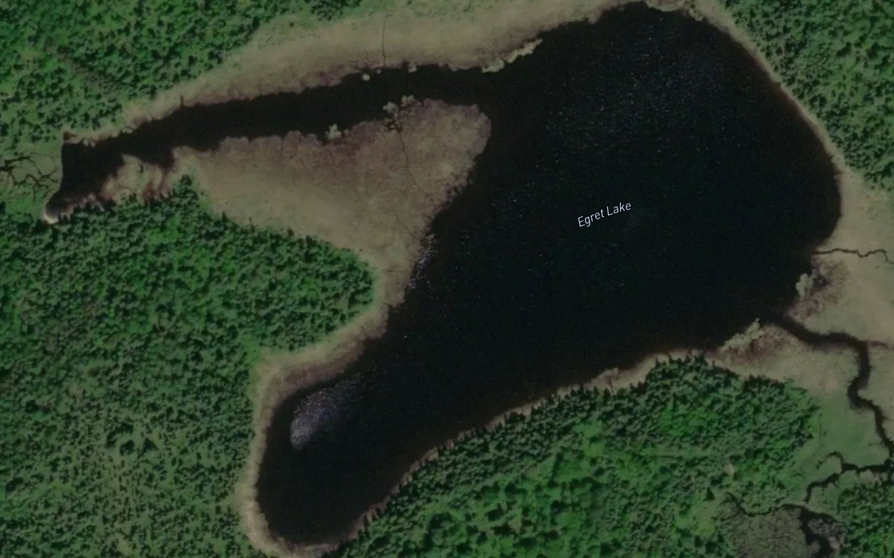 Satellite map of the Egret Lake