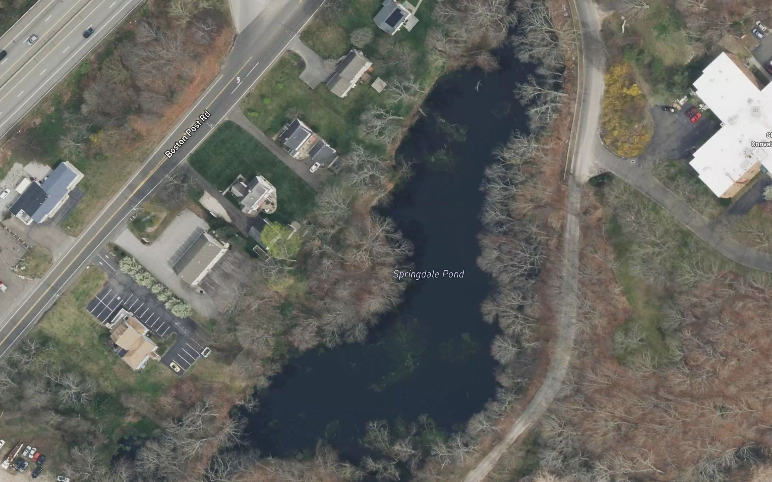 Springdale Pond