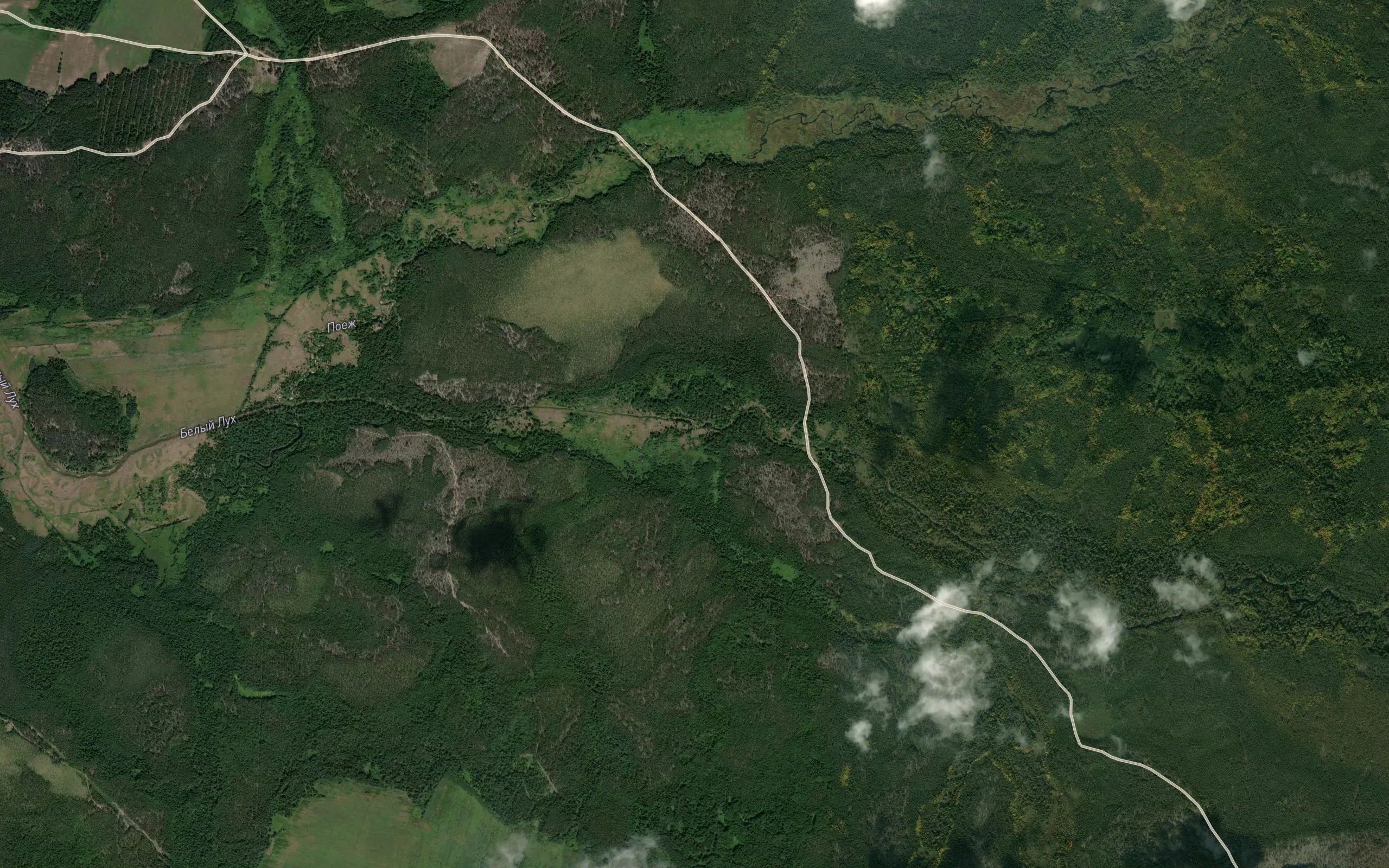 Kornoye