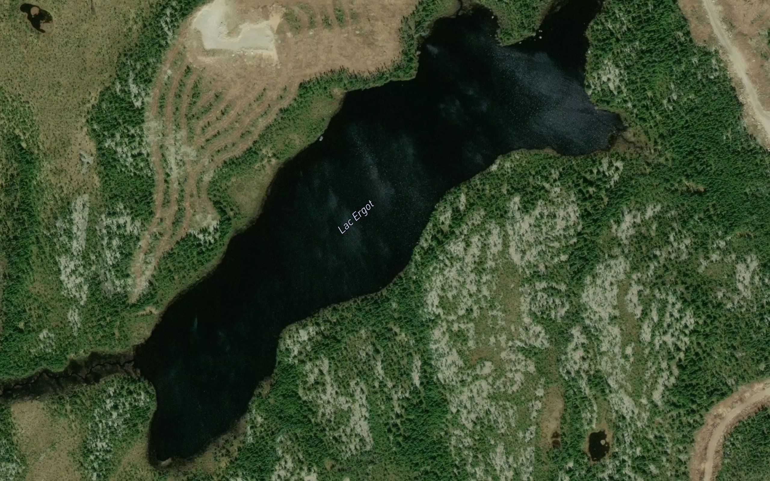 Lac Ergot