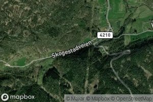 Skogestadana