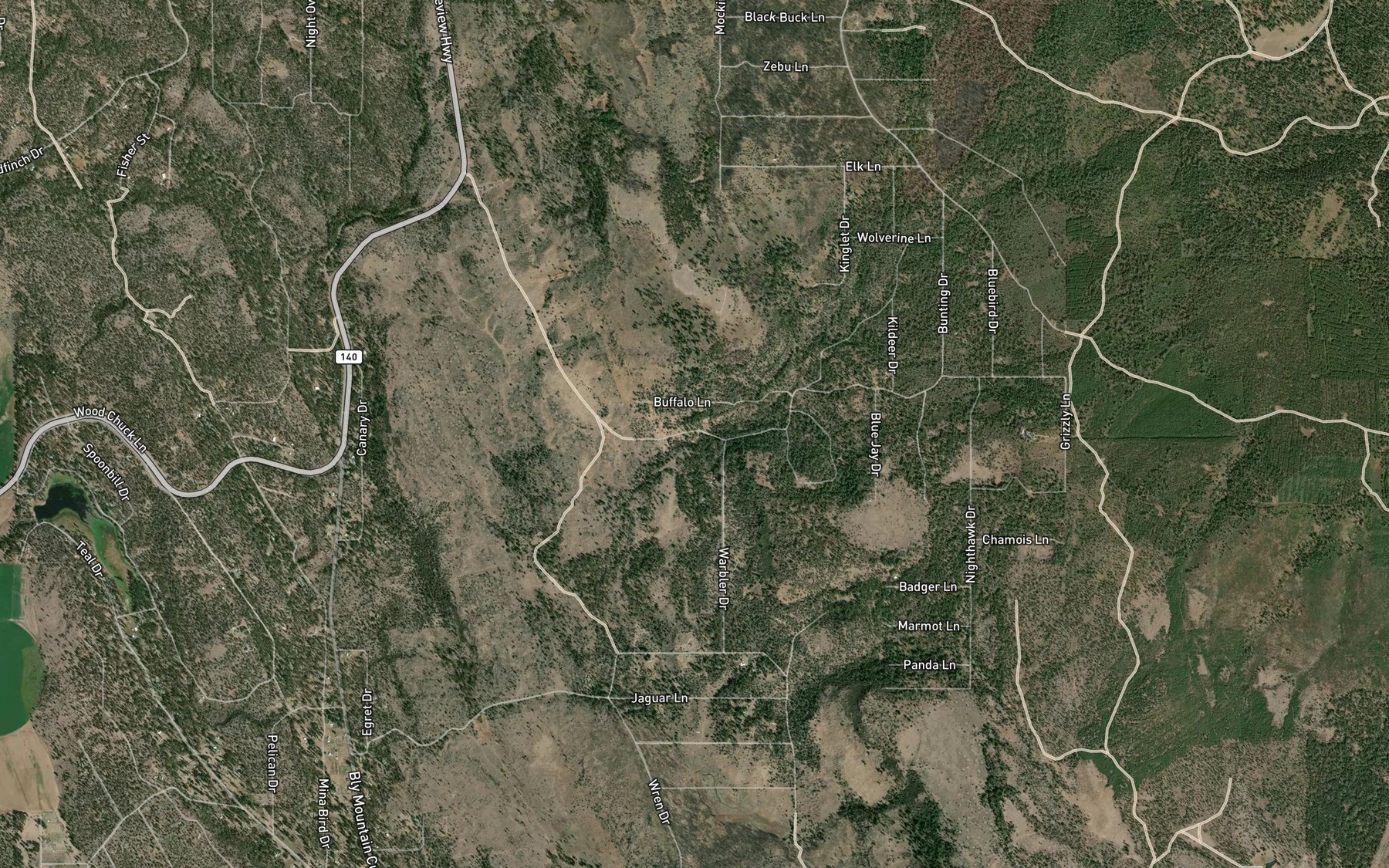 Satellite map of the Indian Spring