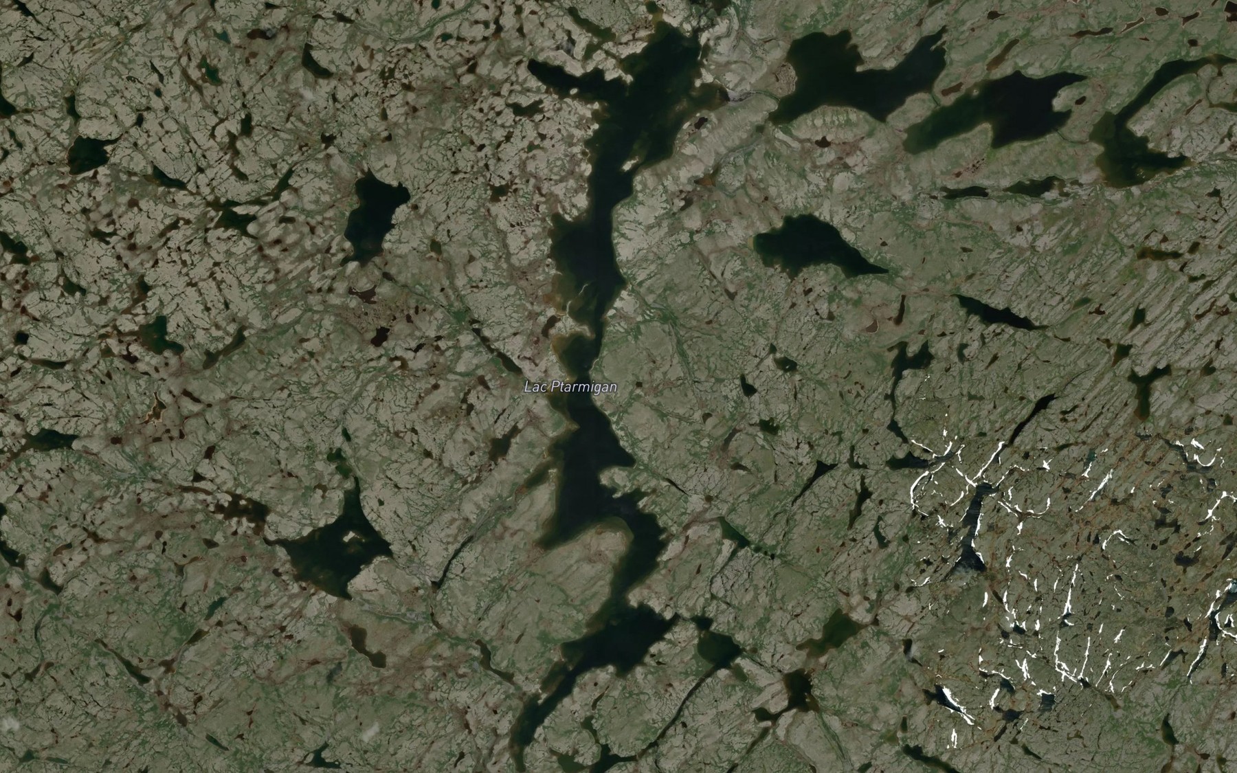 Satellite map of the Lac Ptarmigan