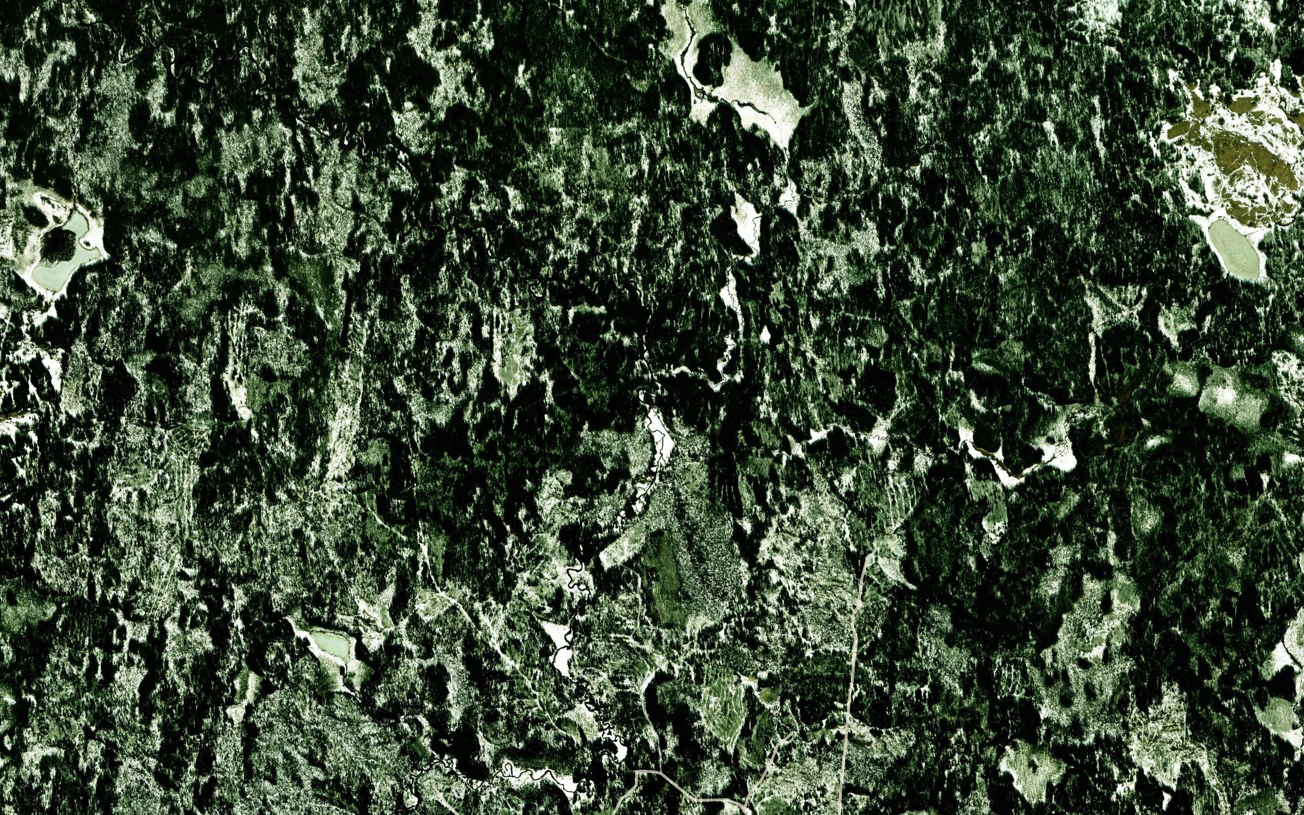 Plotichenka