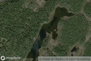 Staaluvyettimjaavras