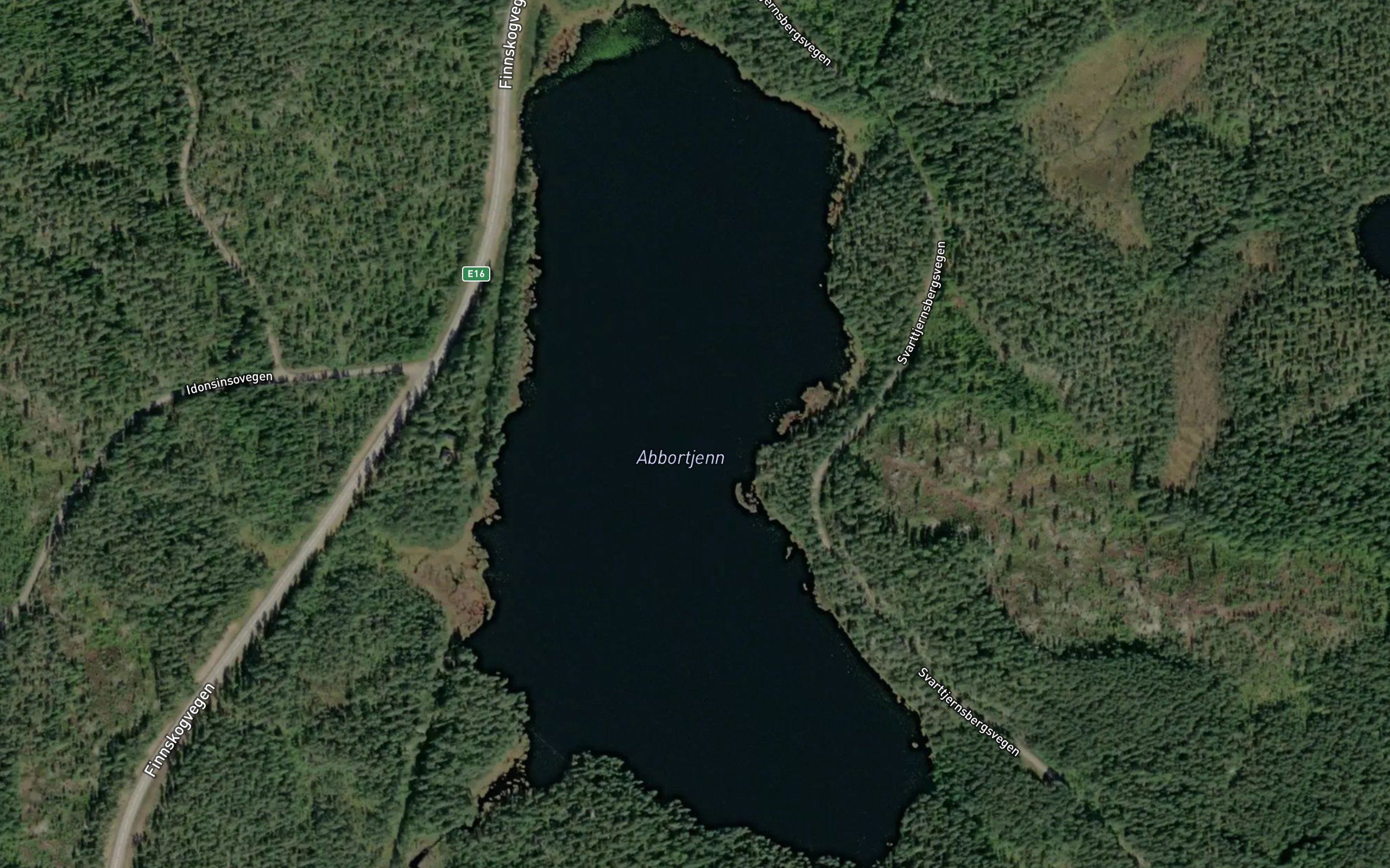 Abbortjern