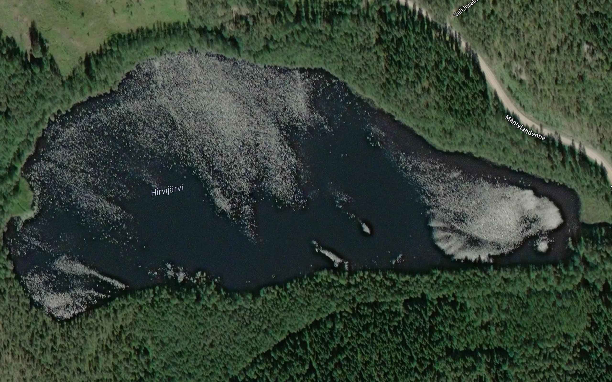Hirvijarvi