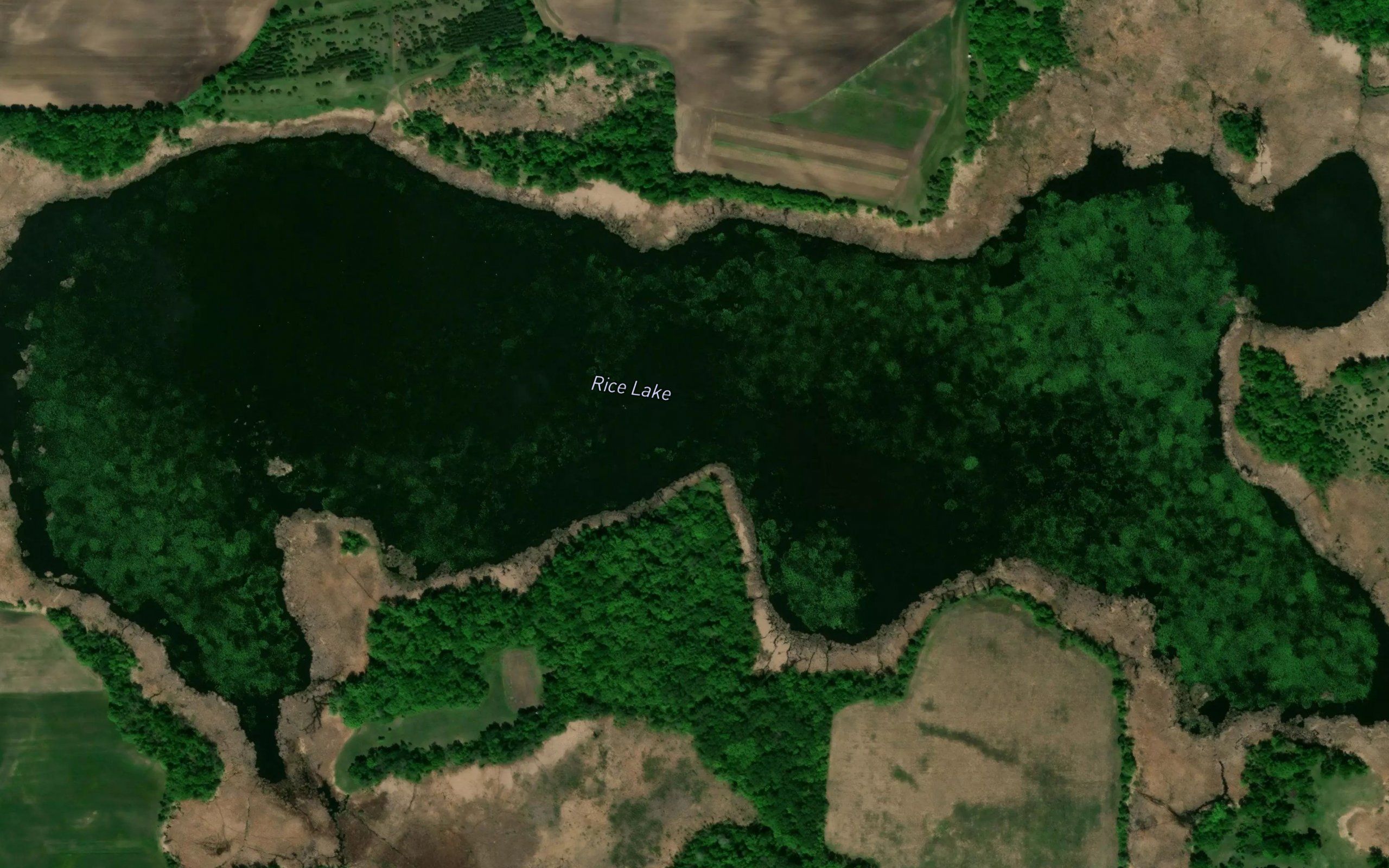 Rice Lake