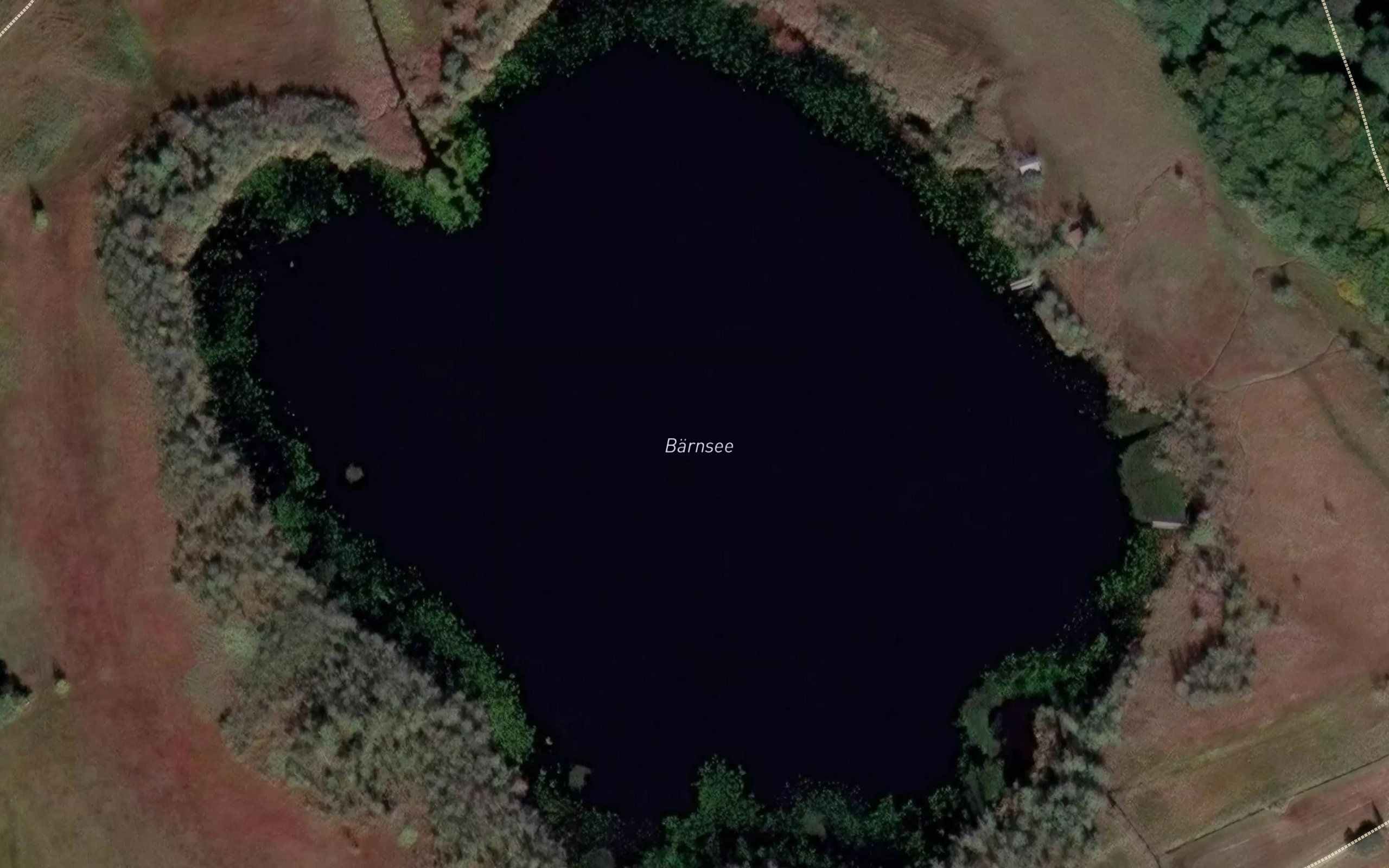Barnsee