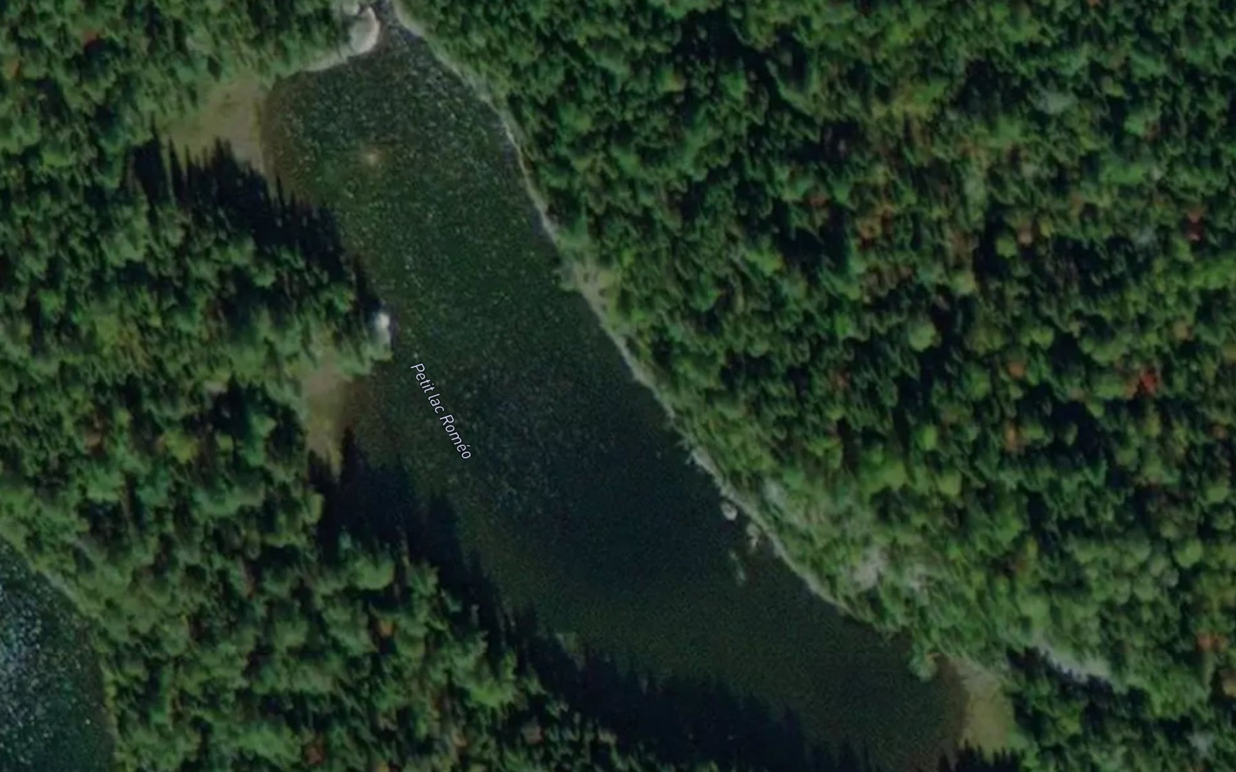 Satellite map of the Petit lac Romeo