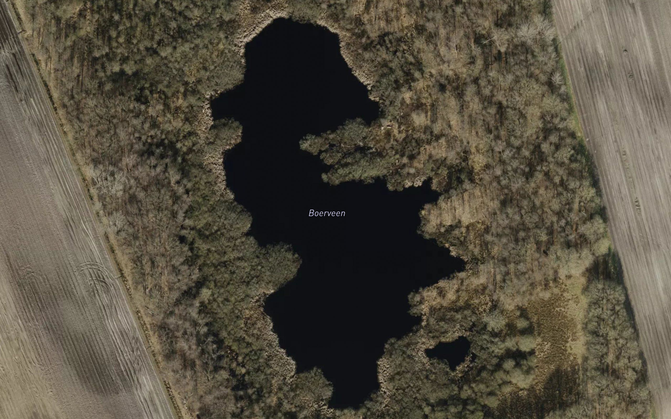 Boerveen