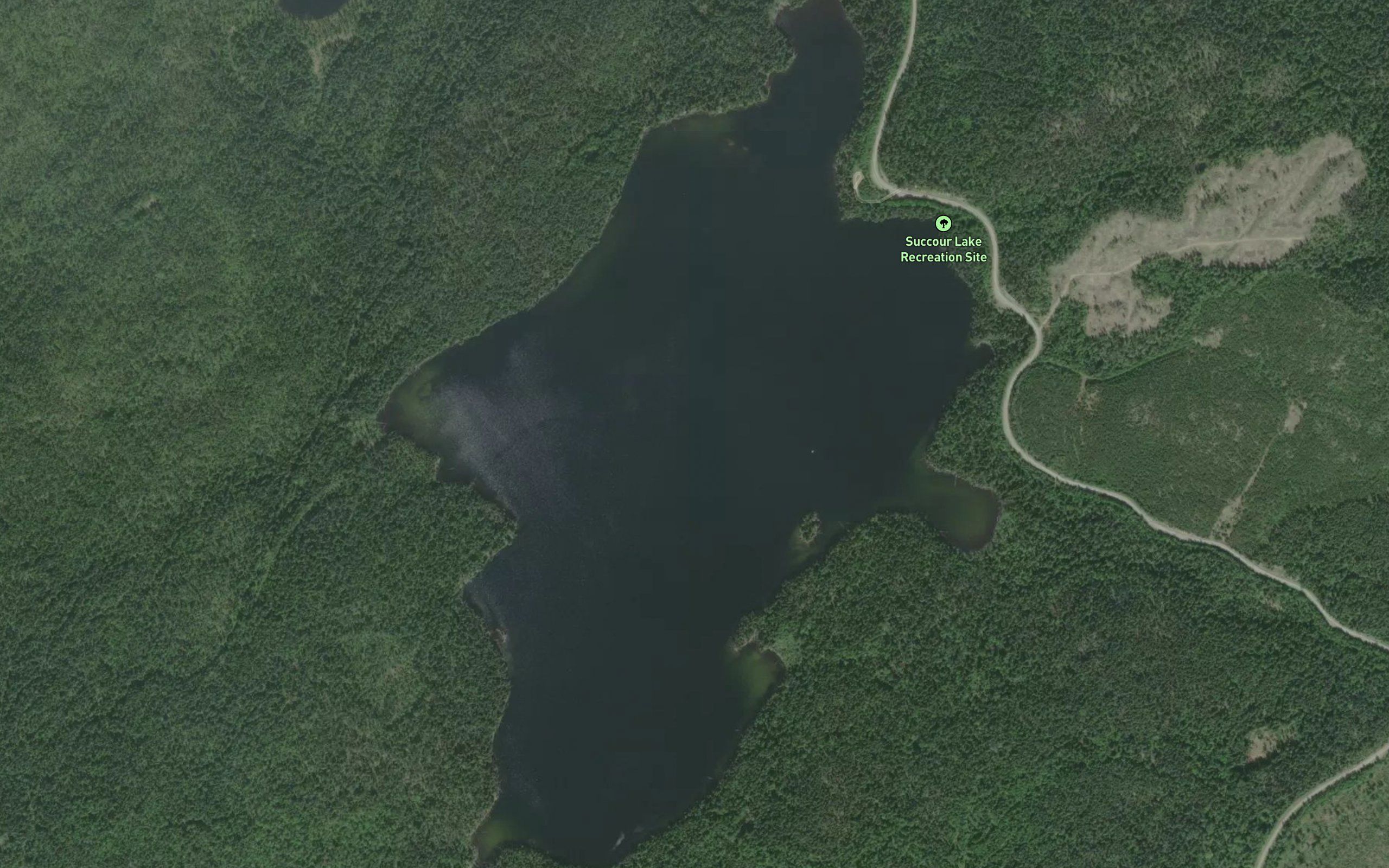 Succour Lake