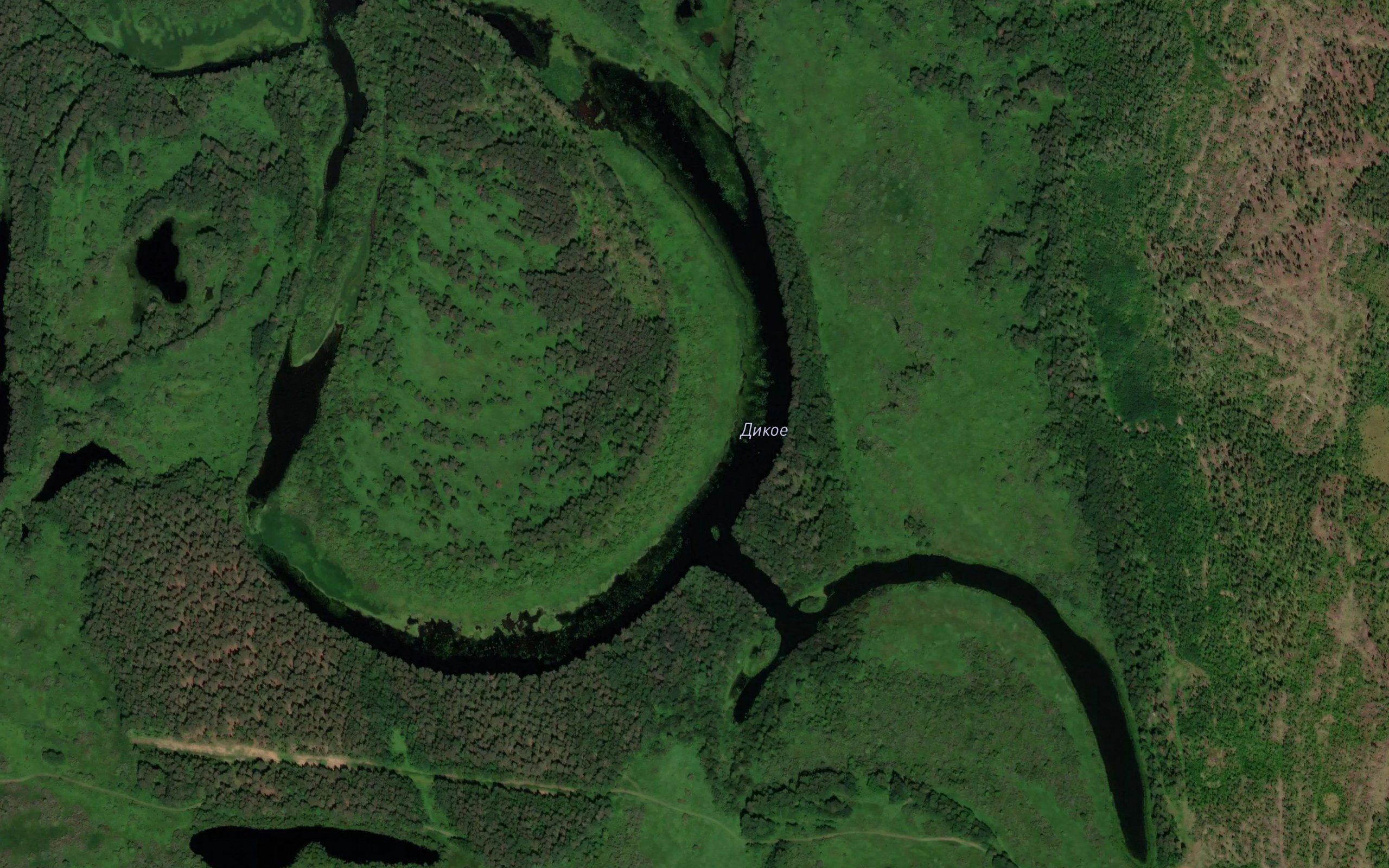 Ozero Dikoye