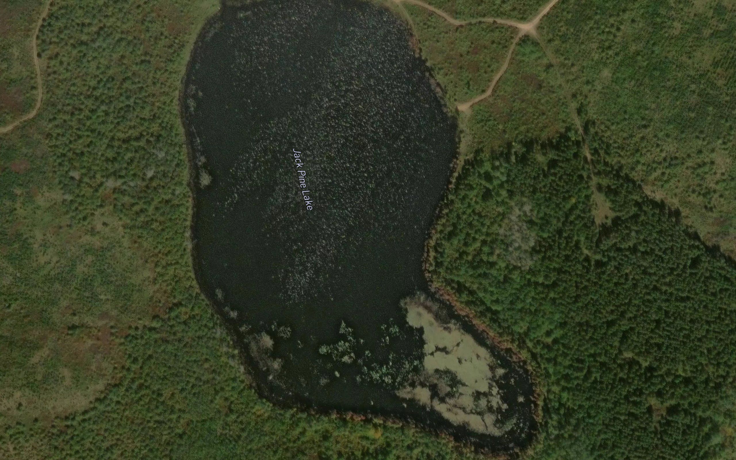 Jack Pine Lake
