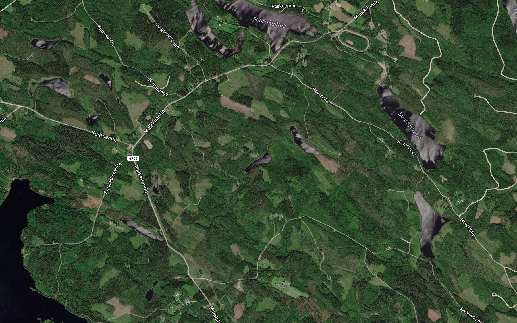 Satellite map of the Pieni Viitalampi