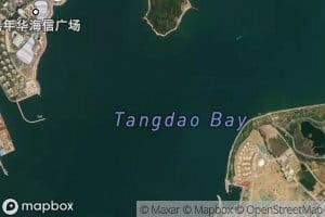 Tangdao Wan