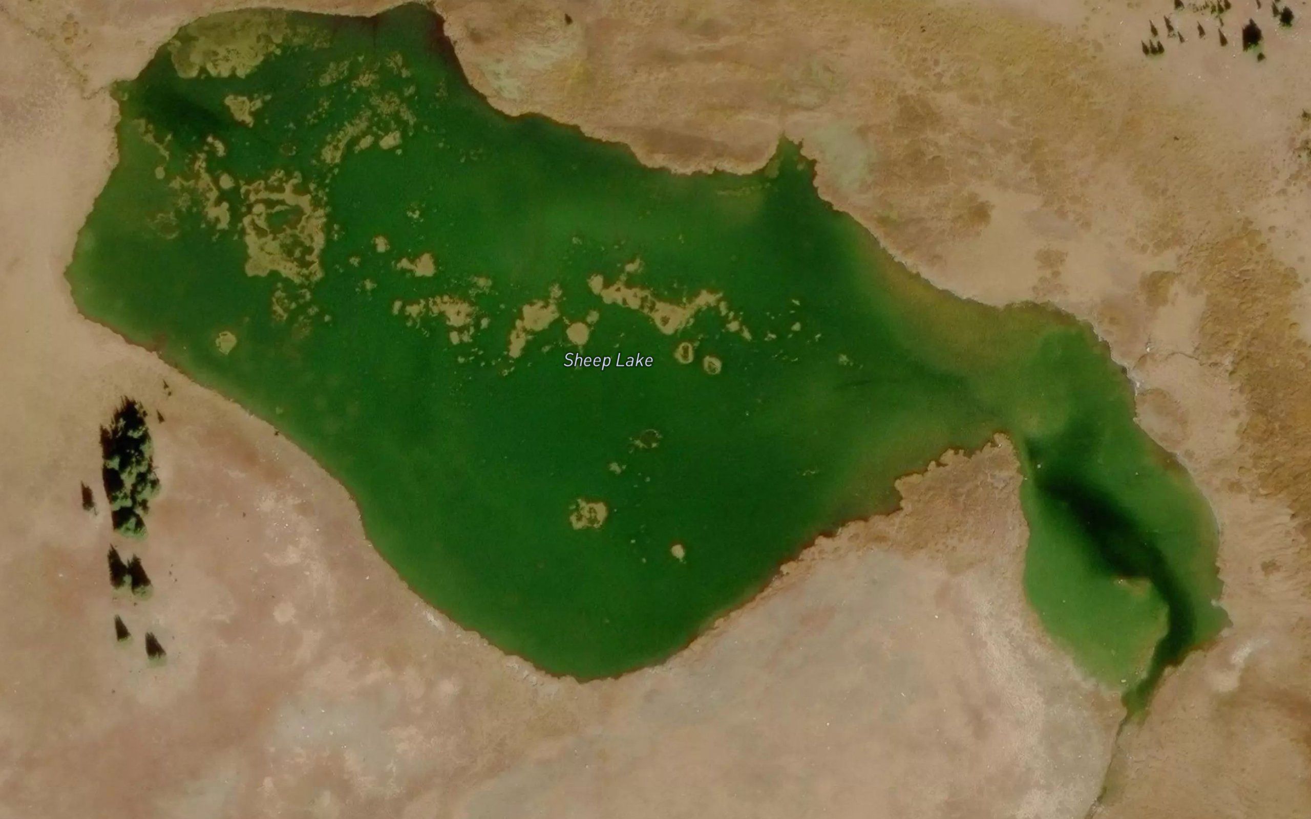 Sheep Lake