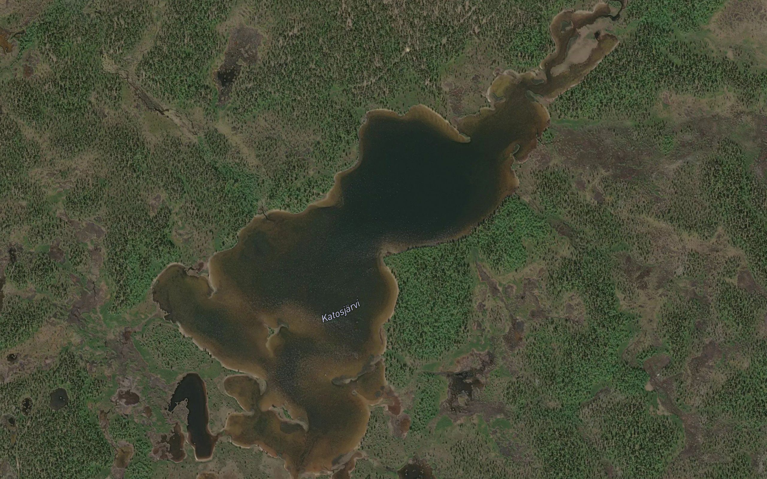 Kaadasjau'rr