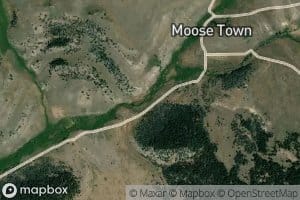 North Fork Moose Creek