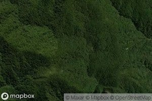 Te Tanae Rangiharakeke Stream