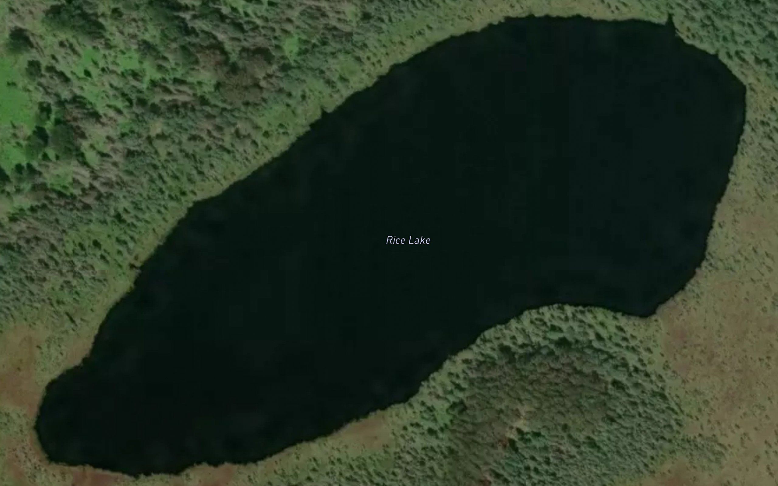 Rice Lake