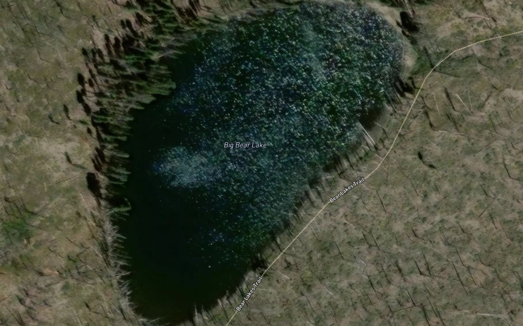 Satellite map of the Big Bear Lake