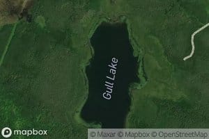 Gull Lake