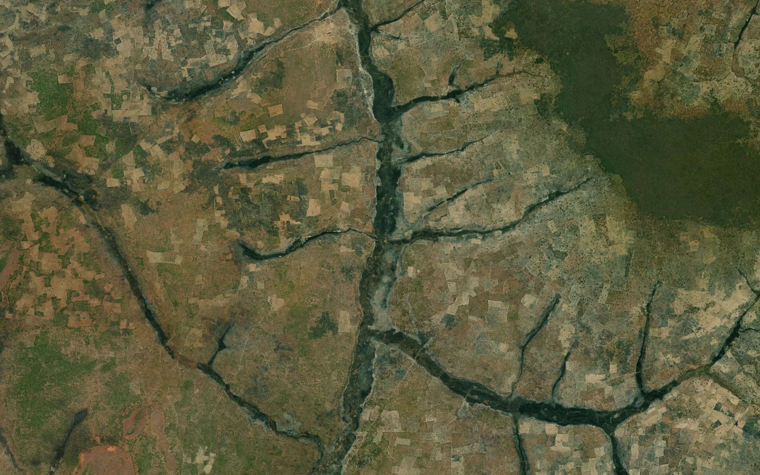 Vangala