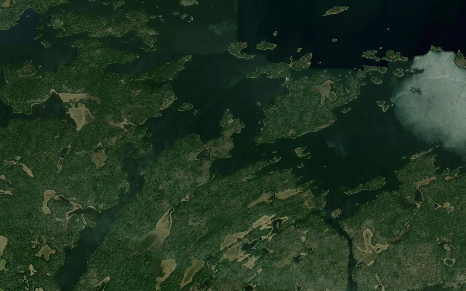 Satellite map of the Whaler Channel