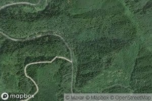 Footlog Creek