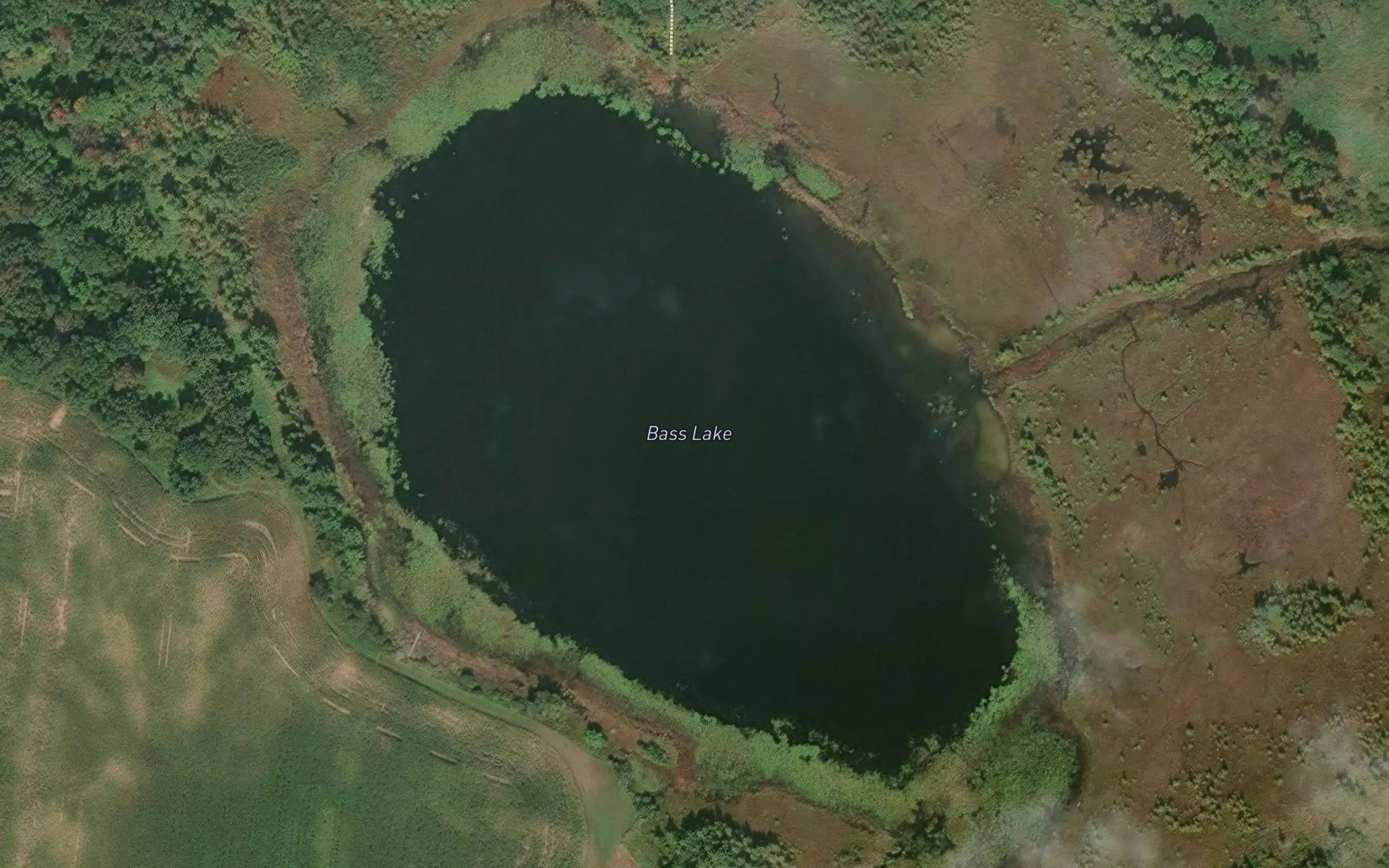 Bass Lake