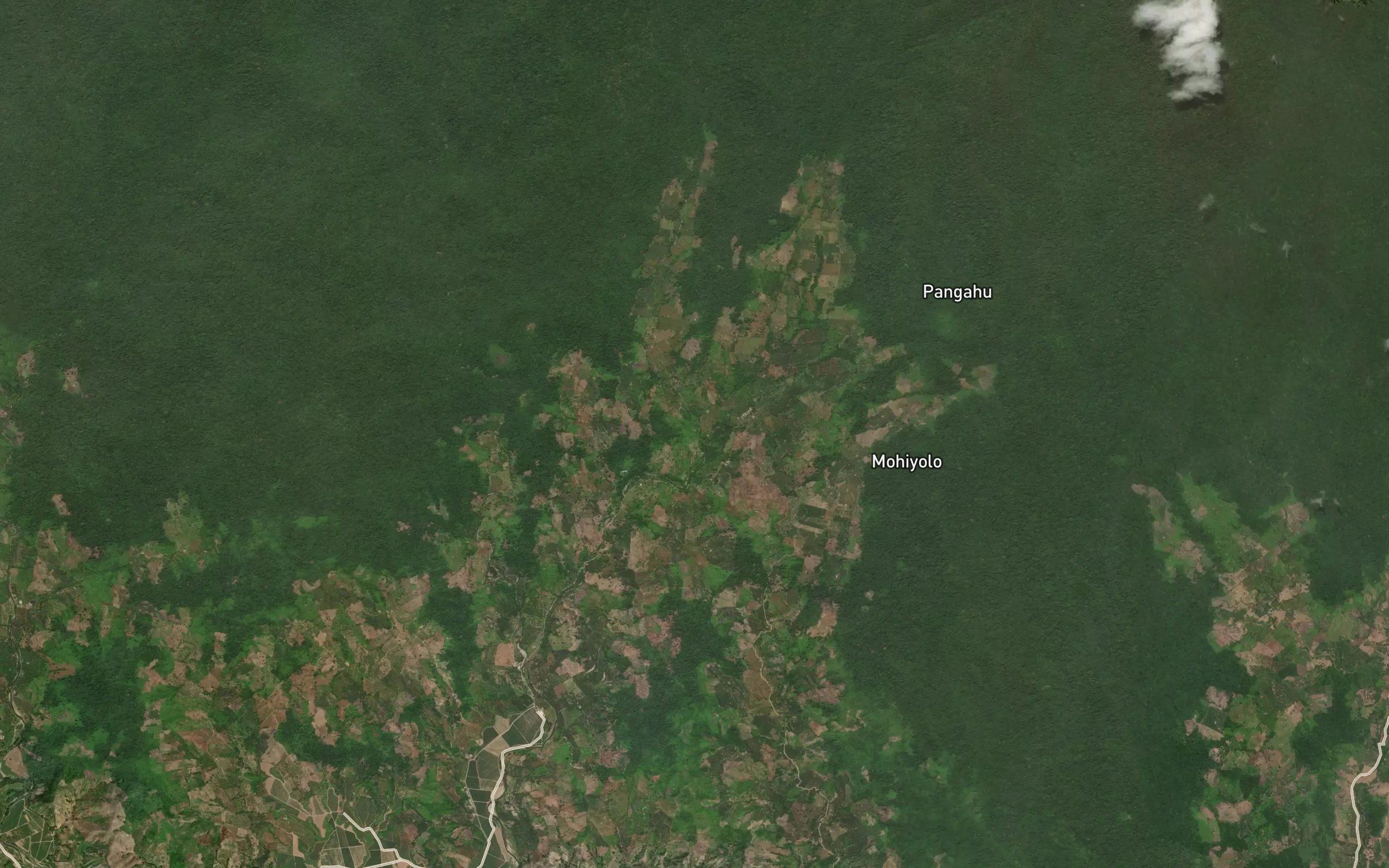 Dutula Ilipopalo